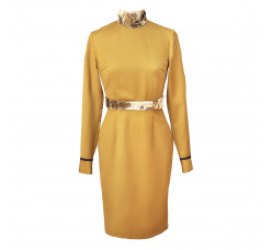 Steath dress with velvet belt