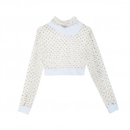Crystal Crop top